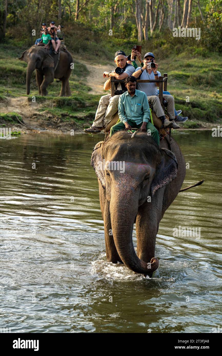 Nepal, provincia di Terai, Parco Nazionale di Chitwan, safari fotografico con elefanti Foto Stock