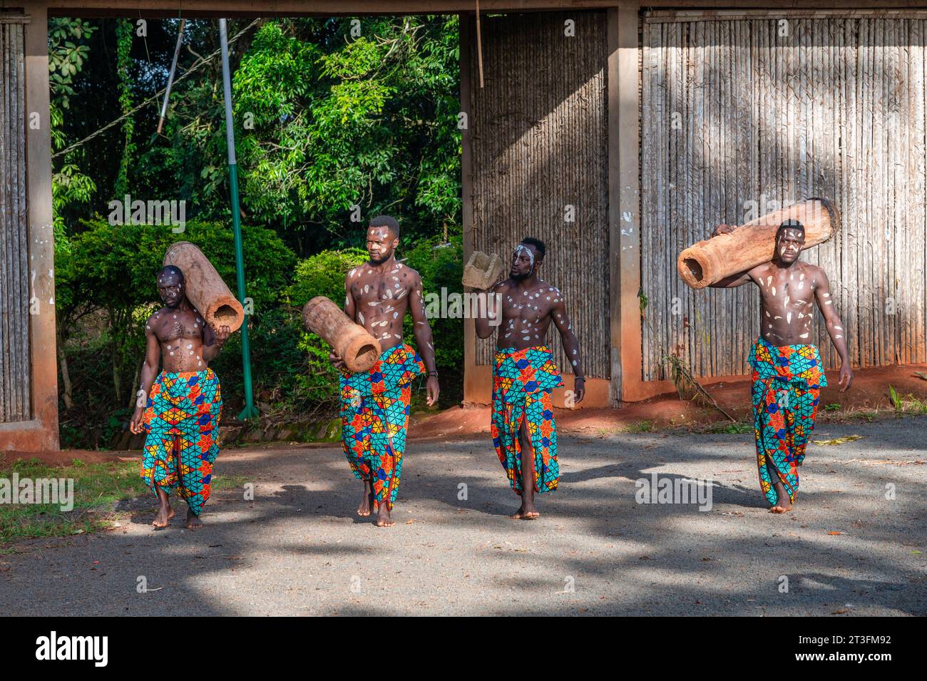 Camerun, zona ovest, quartiere MiFi, Bangoua, percussionisti durante la cerimonia di intitizzazione di giovani ragazzi chiamati Kak Foto Stock