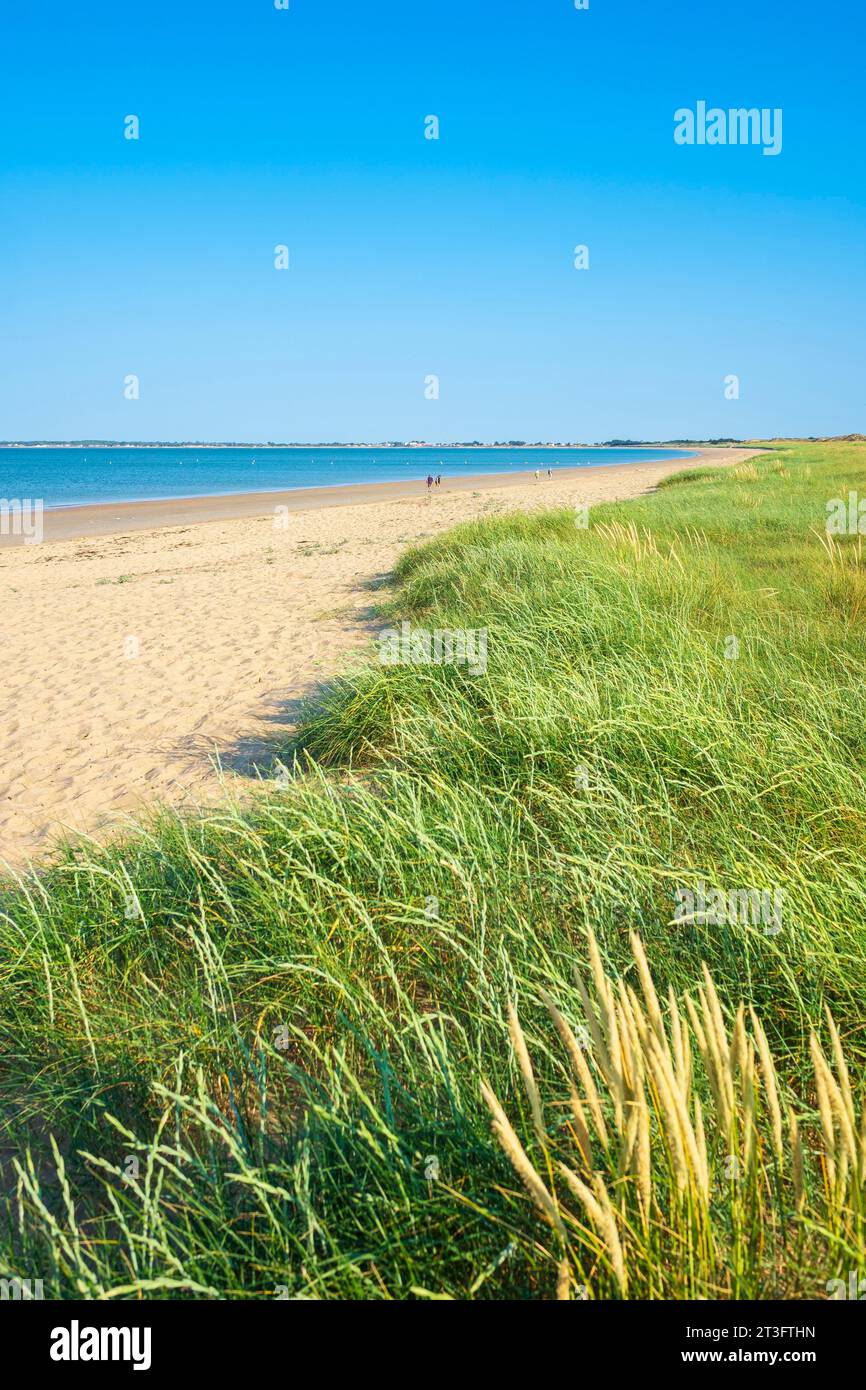 Francia, Vendee, isola di Noirmoutier, Barbatre, spiaggia di Midi Foto Stock