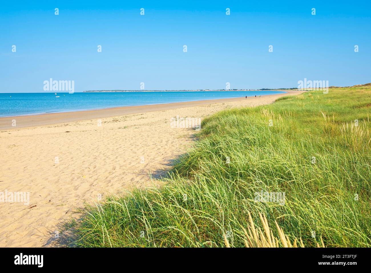 Francia, Vendee, isola di Noirmoutier, Barbatre, spiaggia di Midi Foto Stock