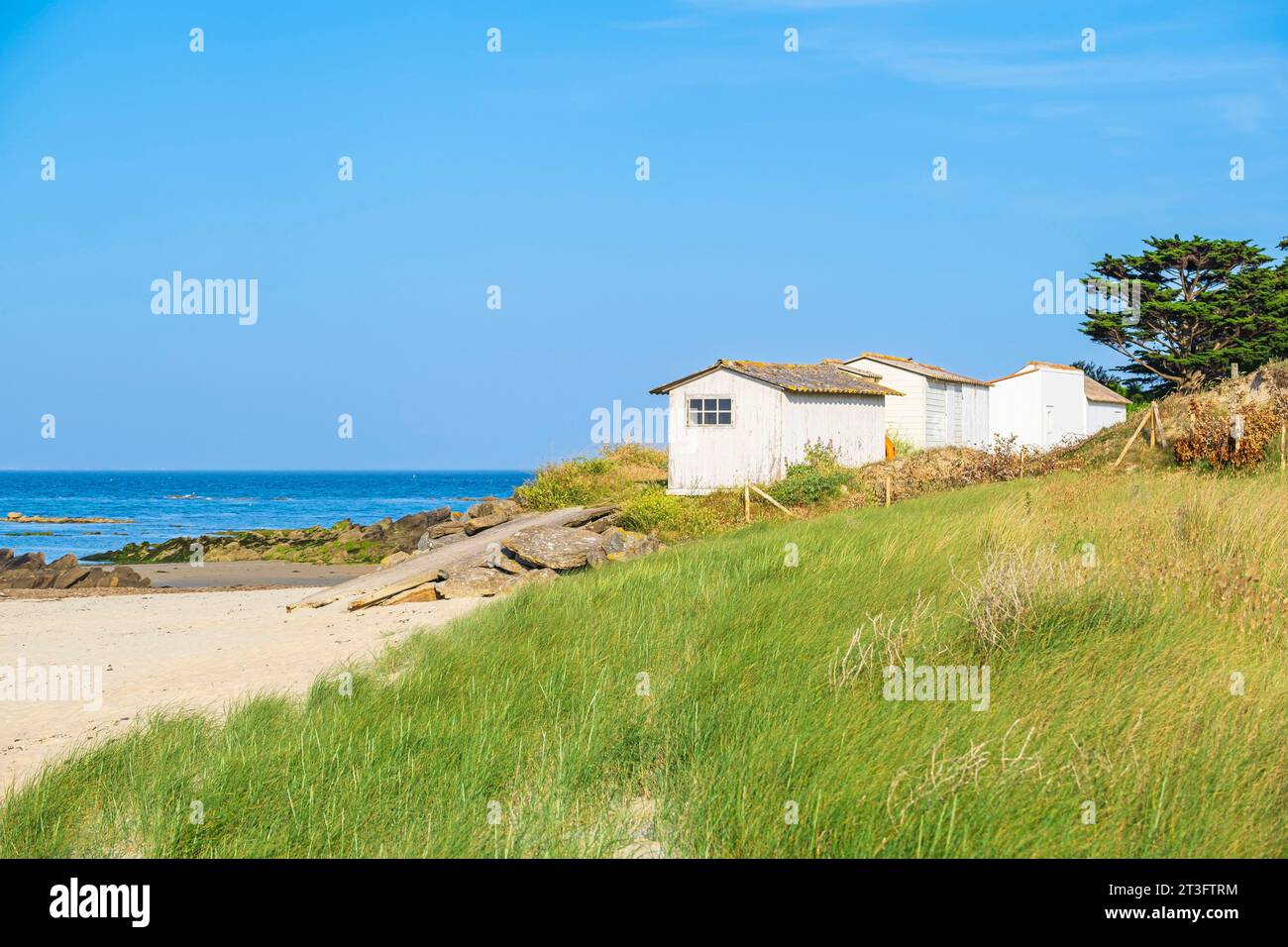 Francia, Vandea, Ile d'Yeu, la costa delle dune (costa nord-est), le capanne dei pescatori lungo la spiaggia di Marais Salé Foto Stock