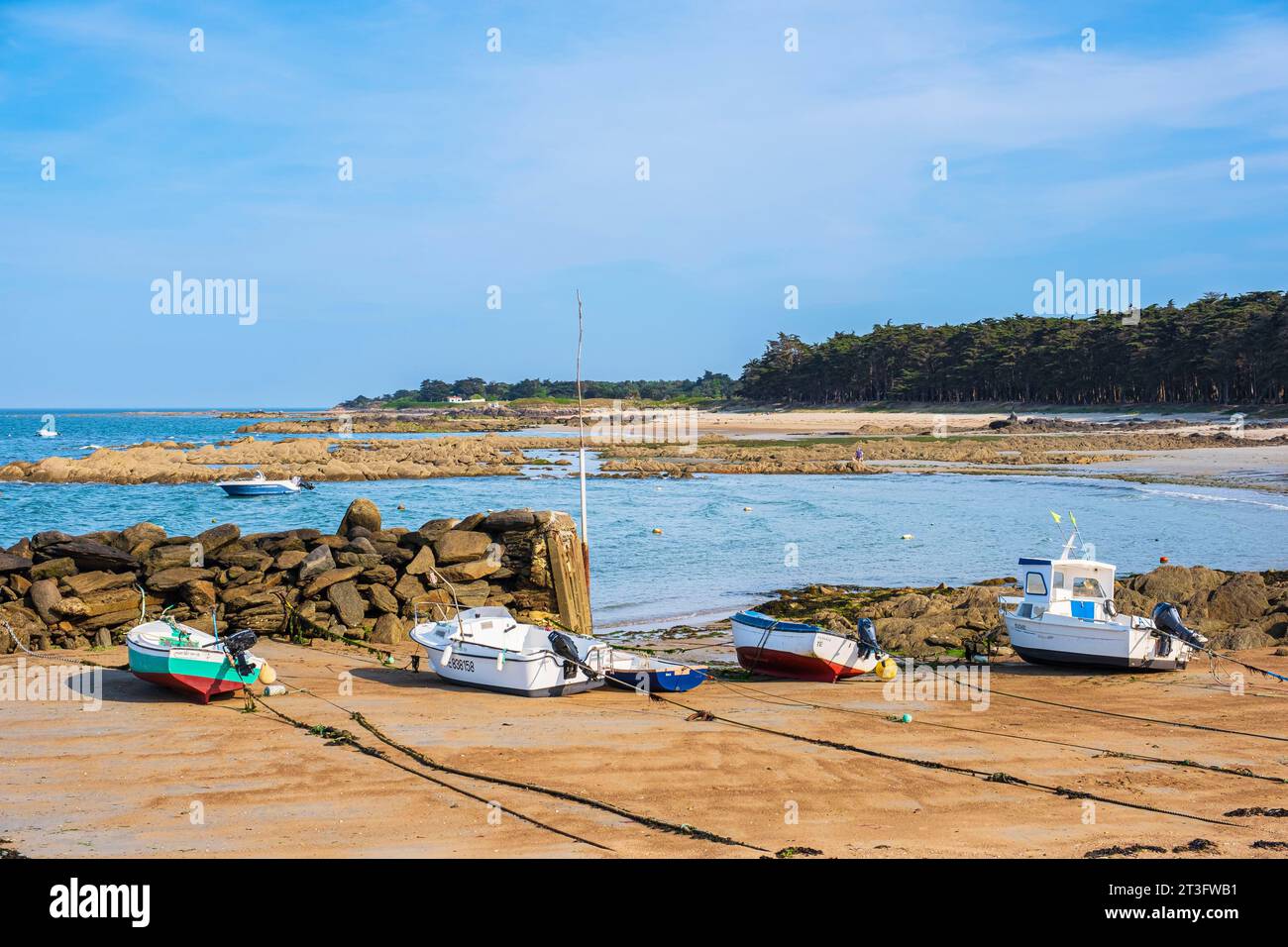 Francia, Vandea, Ile d'Yeu, la costa delle dune (costa nord-orientale), barche riparate sulla spiaggia di Sapins Foto Stock