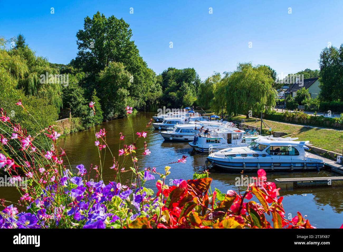 Francia, Morbihan, la Gacilly, il porto turistico sulle rive del fiume Aff Foto Stock