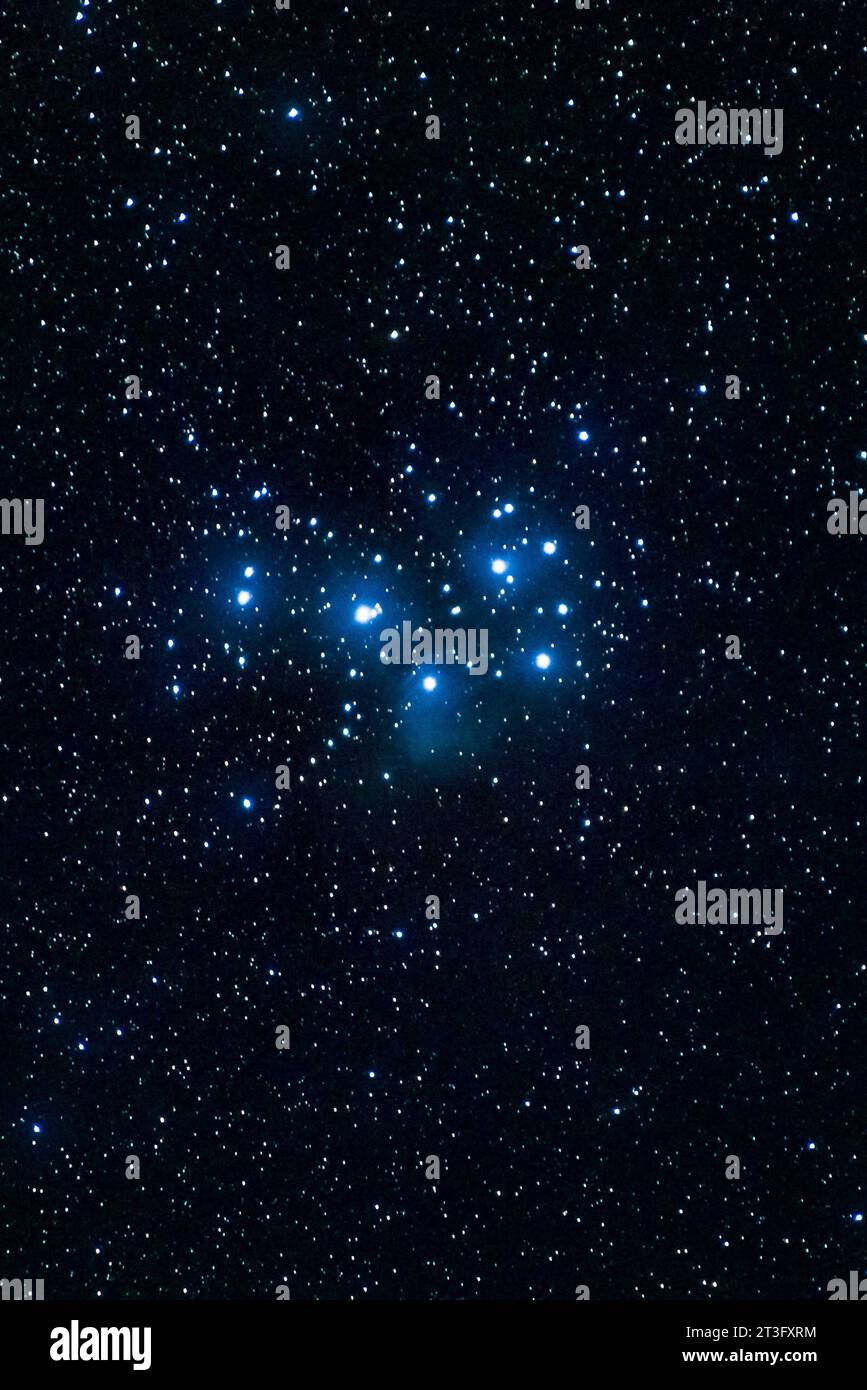 DATA RECORD NON DICHIARATA Der offene Sternhaufen der Plejaden Messier M45 im Sternbild Stier mit seinen charakteristischem blauen Reflexionsnebel. Plejaden *** l'ammasso di stelle aperte delle Pleiades Messier M45 nella costellazione del Toro con la sua caratteristica nebulosa blu Pleiades Credit: Imago/Alamy Live News Foto Stock