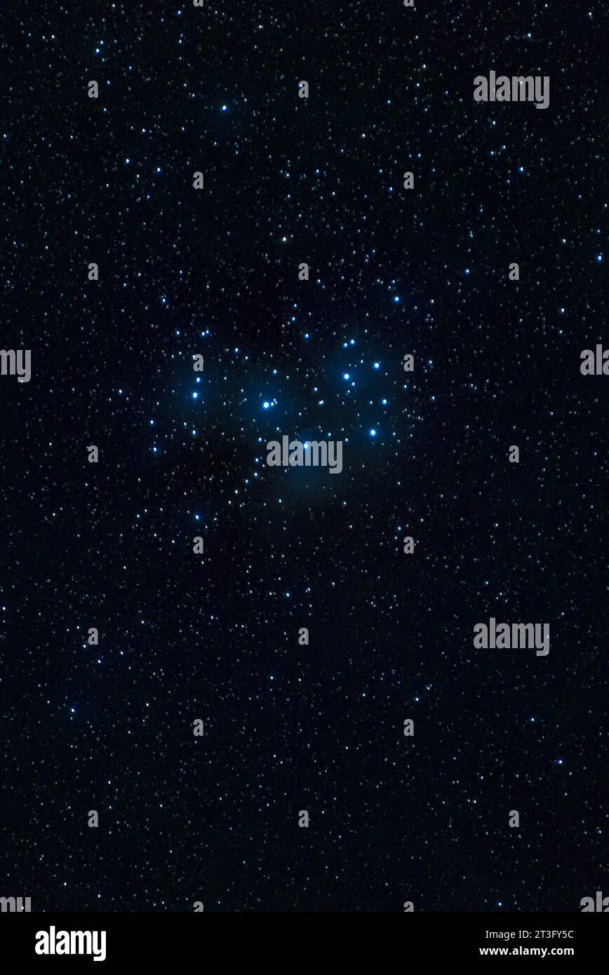 DATA RECORD NON DICHIARATA Der offene Sternhaufen der Plejaden Messier M45 im Sternbild Stier mit seinen charakteristischem blauen Reflexionsnebel. Plejaden *** l'ammasso di stelle aperte delle Pleiades Messier M45 nella costellazione del Toro con la sua caratteristica nebulosa blu Pleiades Credit: Imago/Alamy Live News Foto Stock