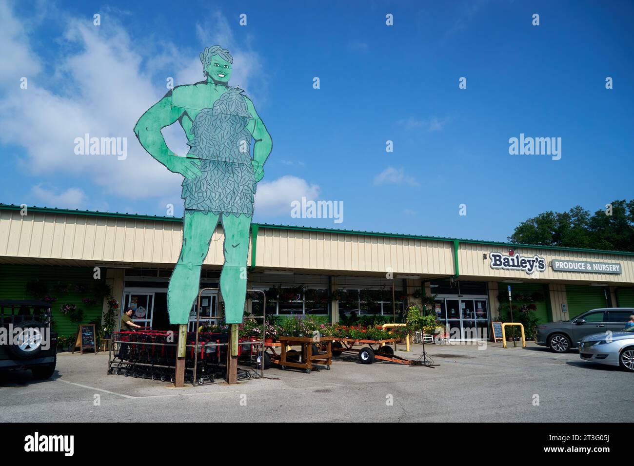 Una foto del Gigante Verde, una scultura di piante alta 3 metri all'ingresso della Bailey's Products & Nursery, un mercato locale e vivaio a Pensacola Foto Stock