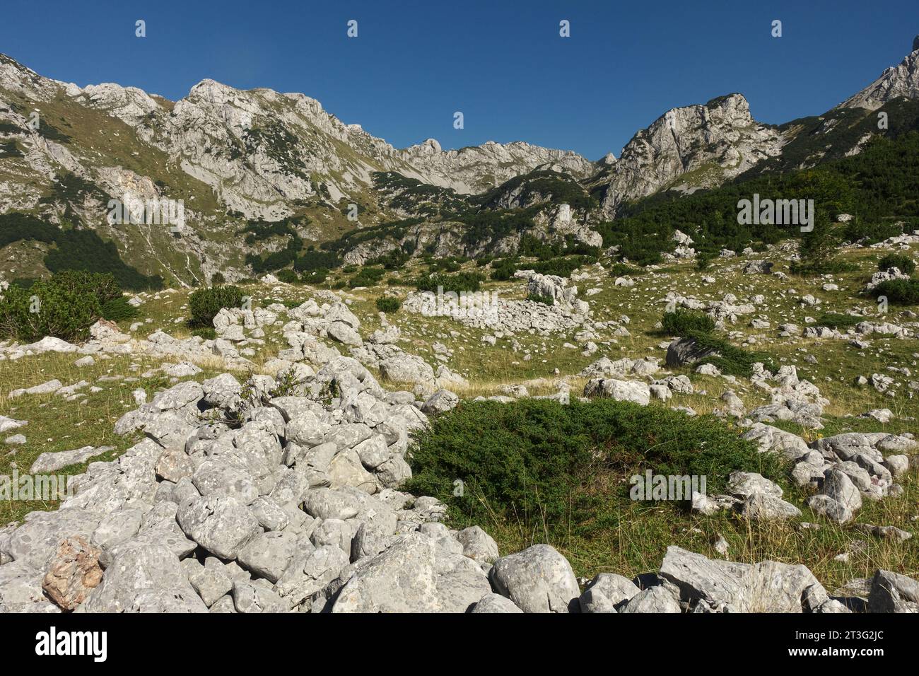 Terreno roccioso e montagne nel Parco naturale di Piva, Montenegro Foto Stock