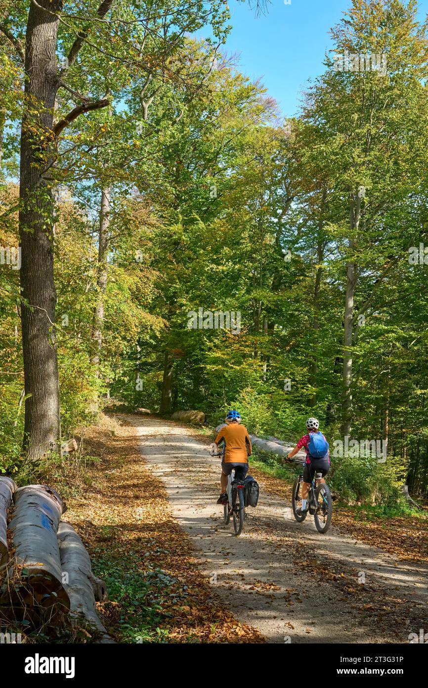 Belle ragazze anziane che vanno in bicicletta con le loro biciclette elettriche nella foresta autunnale della Schwaebische Alb a Baden-Wuerttemberg, Germania Foto Stock