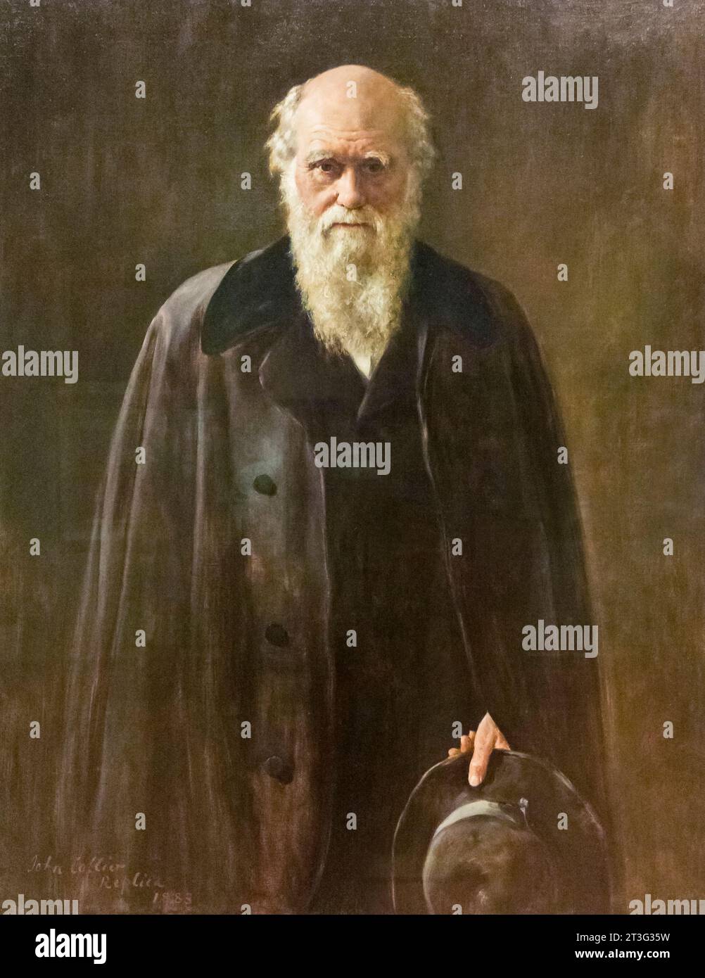 Charles Darwin, copia di John Collier Foto Stock