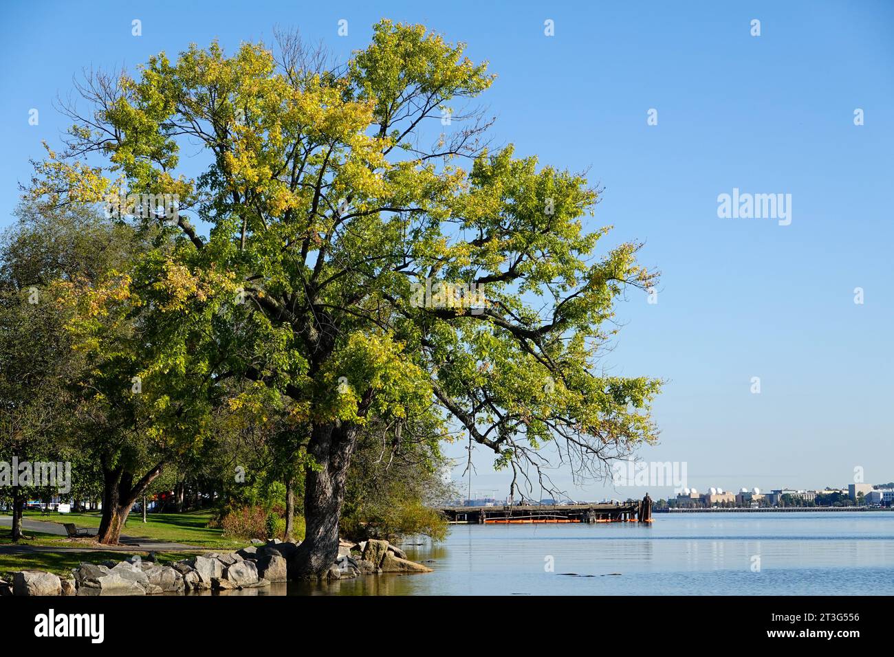 Il litorale del fiume Potomac guarda a nord da Alexandria, Virginia, verso Washington DC, ottobre 2023. Foto Stock