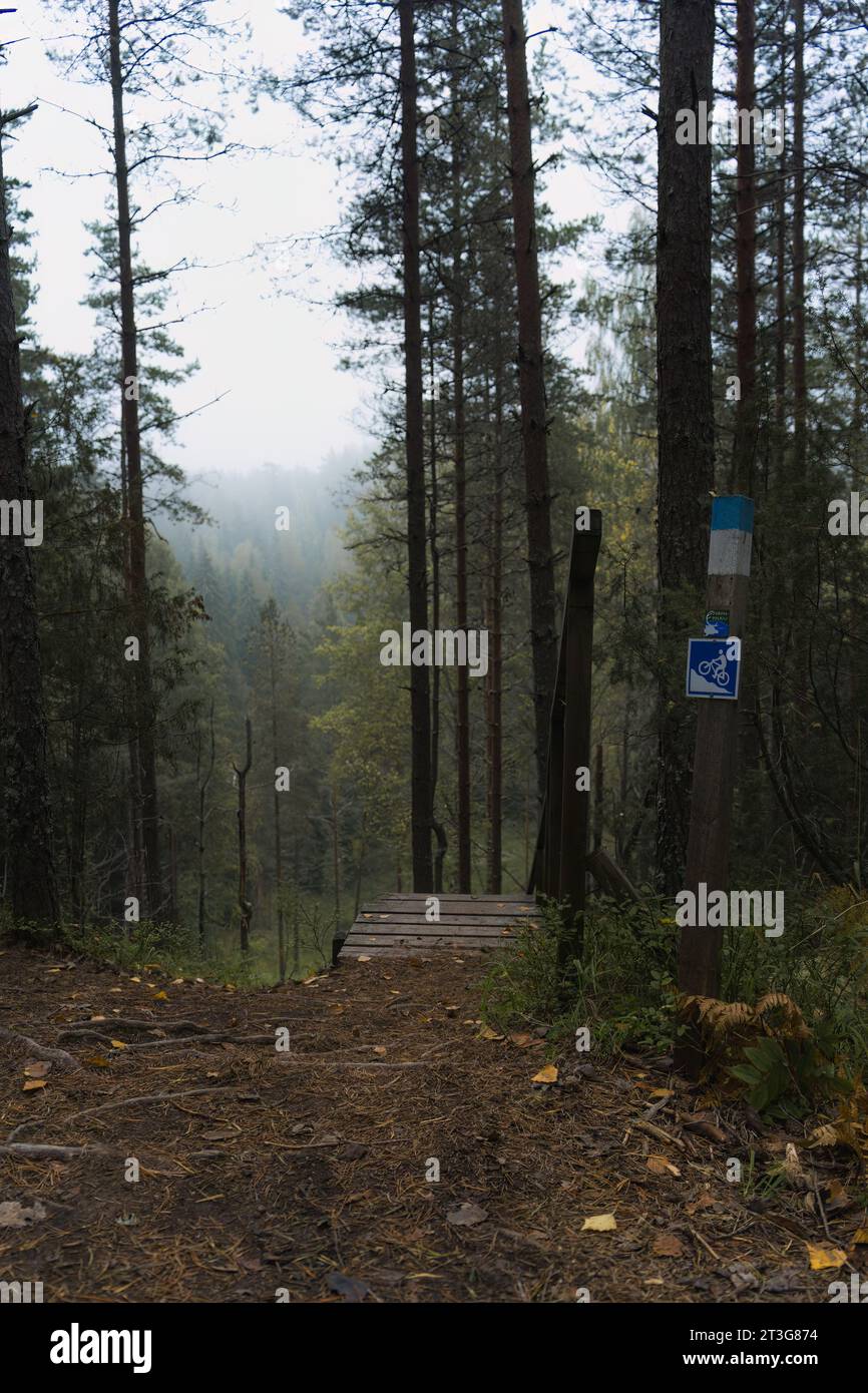 Cima della scalinata in legno nella riserva naturale di Komio, Finlandia, con segnaletica ciclabile Foto Stock