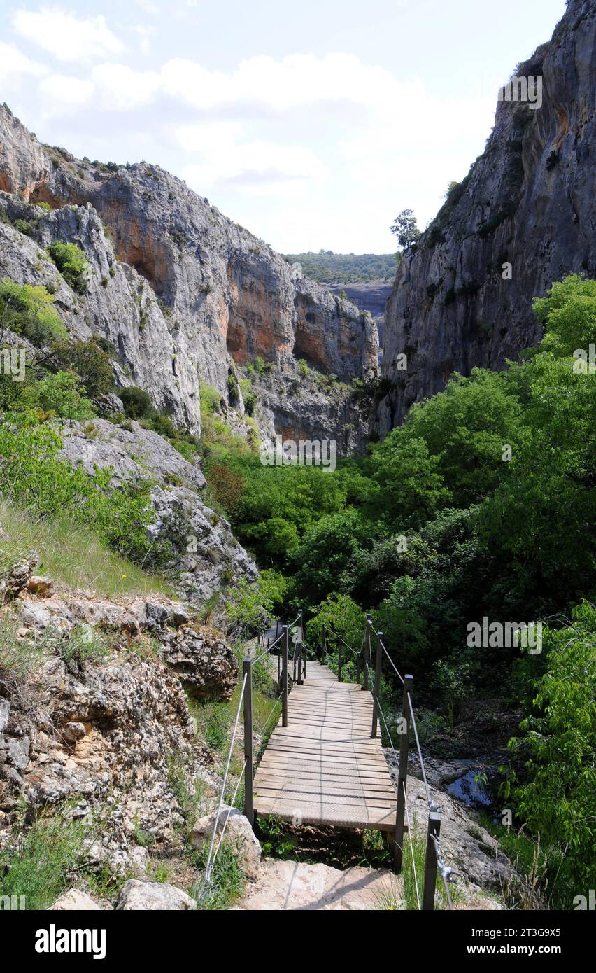 Ruta de las Pasarelas, Barranco de la Fuente, Rio vero, Sierra y Cañones de Guara Natural Park. Alquezar, provincia di Huesca, Aragona, Spagna. Foto Stock