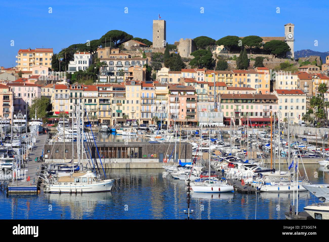 Francia, Alpi marittime, Cannes, vista del Porto Vecchio e del quartiere Suquet con la chiesa di Notre Dame d'Esperance e il Château de la Castre Foto Stock