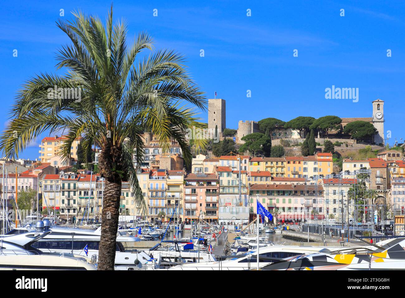 Francia, Alpi marittime, Cannes, vista del Porto Vecchio e del quartiere Suquet con la chiesa di Notre Dame d'Esperance e il Château de la Castre Foto Stock