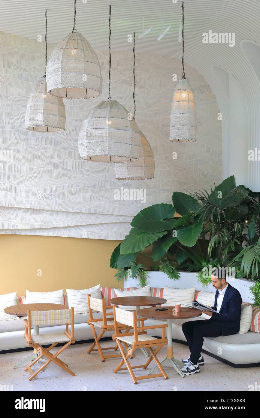 Francia, Alpes Maritimes, Cannes, Hotel Belle Plage decorato dal designer d'interni Raphael Navot, lobby Foto Stock
