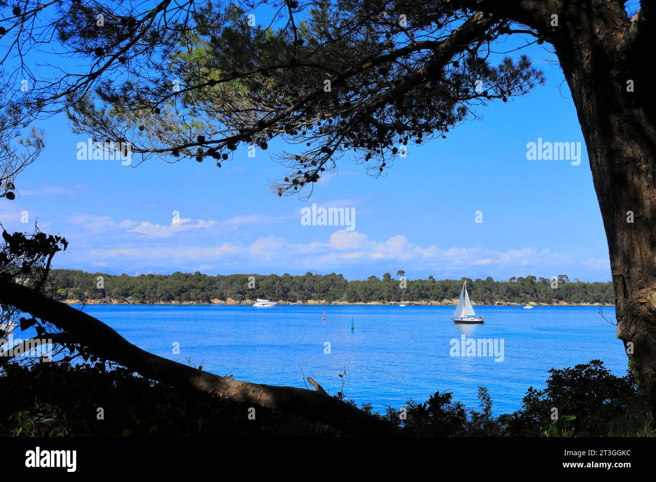 Francia, Alpi marittime, Cannes, isole di Lerins, isola di Sainte Marguerite vista dall'isola di Saint Honorat Foto Stock