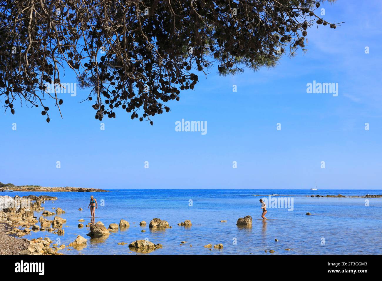 Francia, Alpi marittime, Cannes, isole di Lerins, isola di Saint Honorat, nuotare Foto Stock