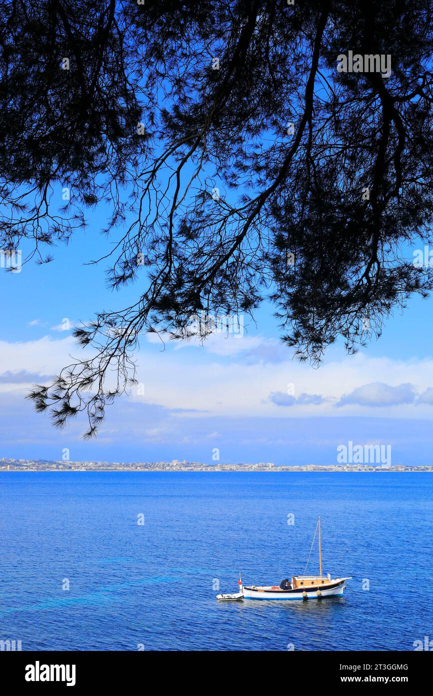 Francia, Alpes Maritimes, Cannes, isole di Lerins, isola di Sainte Marguerite, Pointu all'ancora Foto Stock