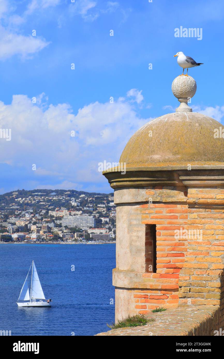 Francia, Alpes Maritimes, Cannes, isole di Lerins, isola di Sainte Marguerite, casa di guardia del forte reale (XVII secolo) che aveva l'uomo nella maschera di ferro come un famoso prigioniero Foto Stock