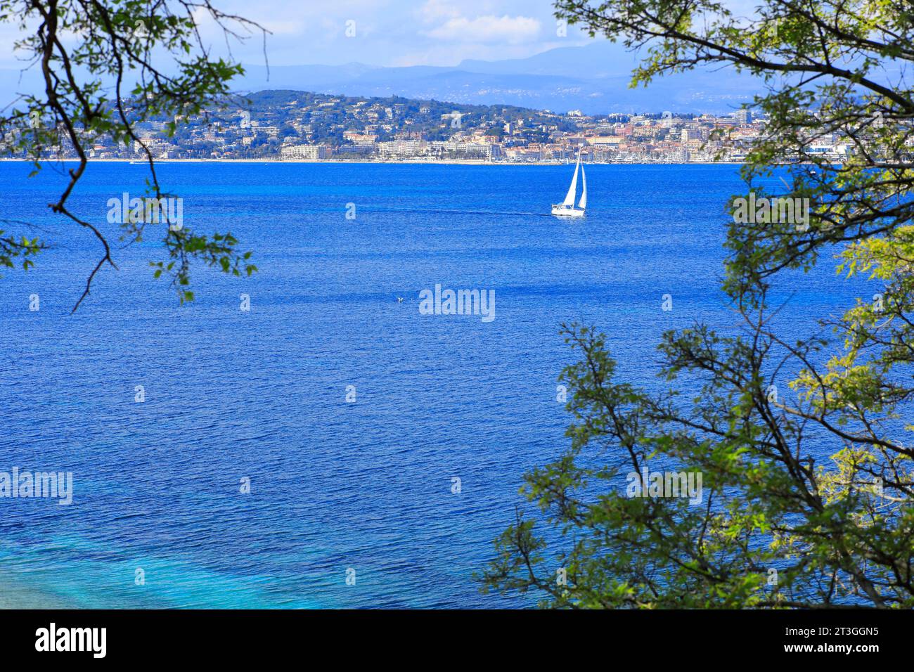 Francia, Alpes Maritimes, Cannes, isole di Lerins, isola di Sainte Marguerite, vista sulla città di Cannes Foto Stock