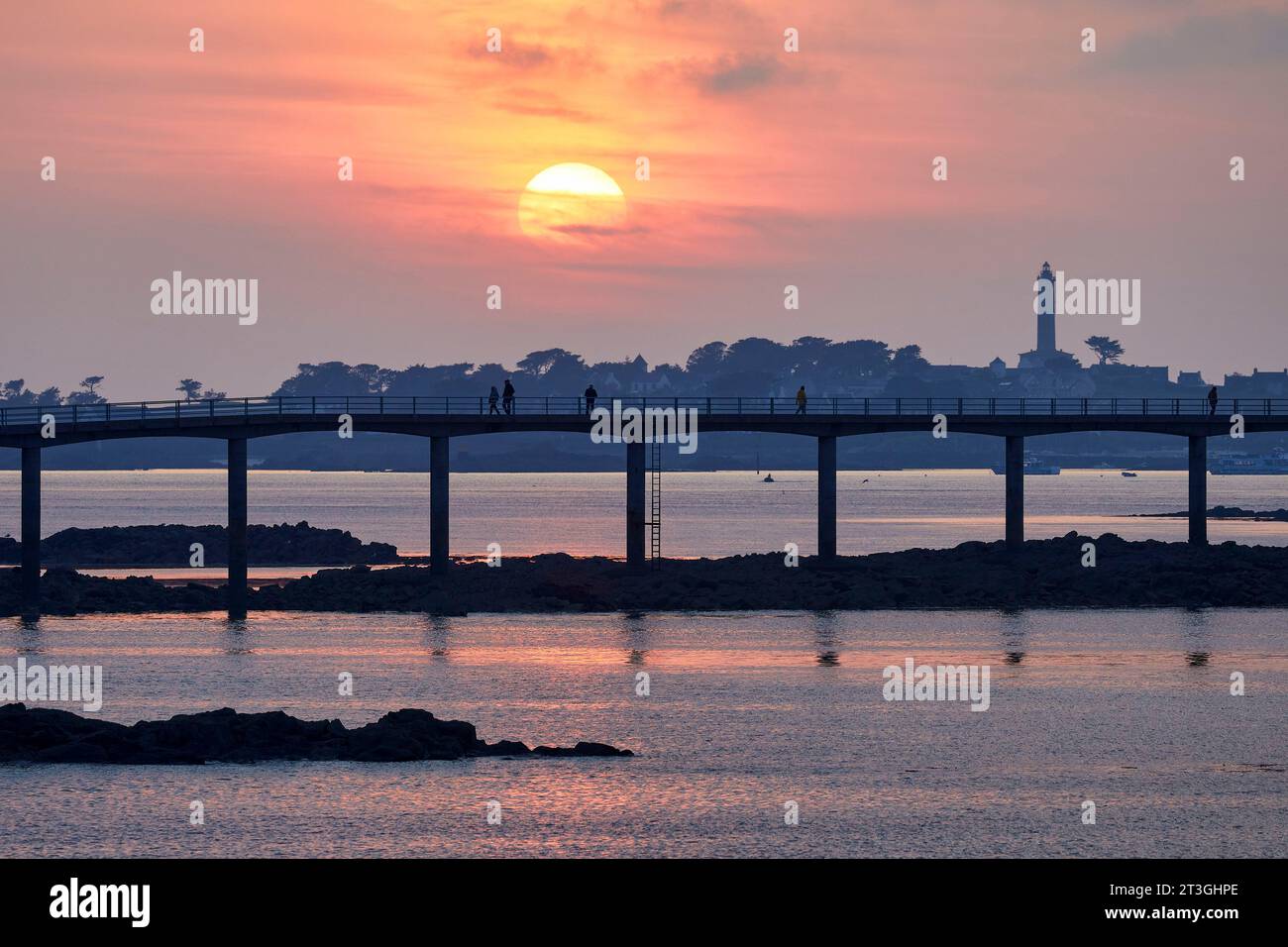 Francia, Finistere, Roscoff, imbarco sul molo per l'Ile de Batz al tramonto, faro dell'isola di Batz sullo sfondo Foto Stock