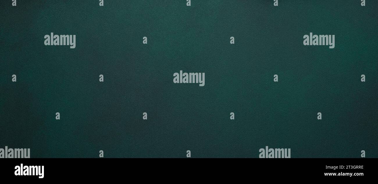 Texture granulosa, sfondo verde scuro, elemento di design, sfondo dipinto astratto, struttura ruvida. Primo piano del canvas vuoto. Banner panoramico. Calcestruzzo g Foto Stock