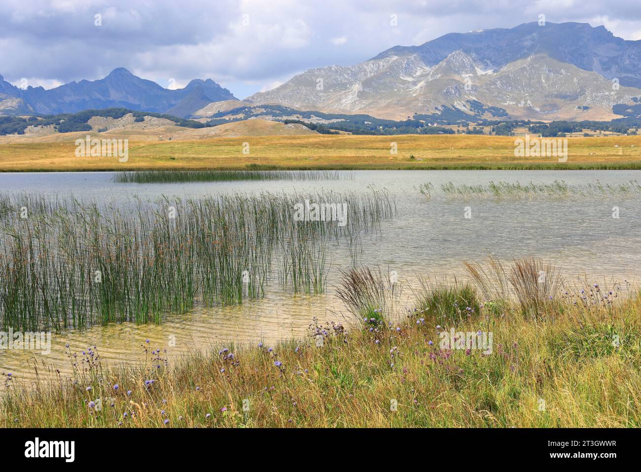 Montenegro, Zabljak, lago di pesce (Riblje jezero) Foto Stock