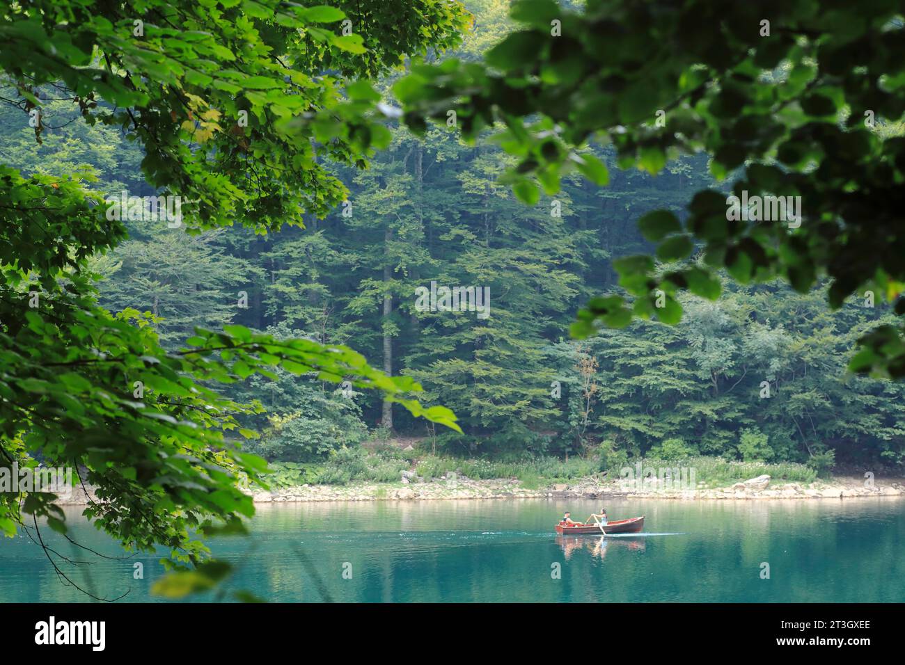 Montenegro, Bjelasica, Biogradska Gora National Park, Kolasin, Lago di Biograd, gita in barca Foto Stock