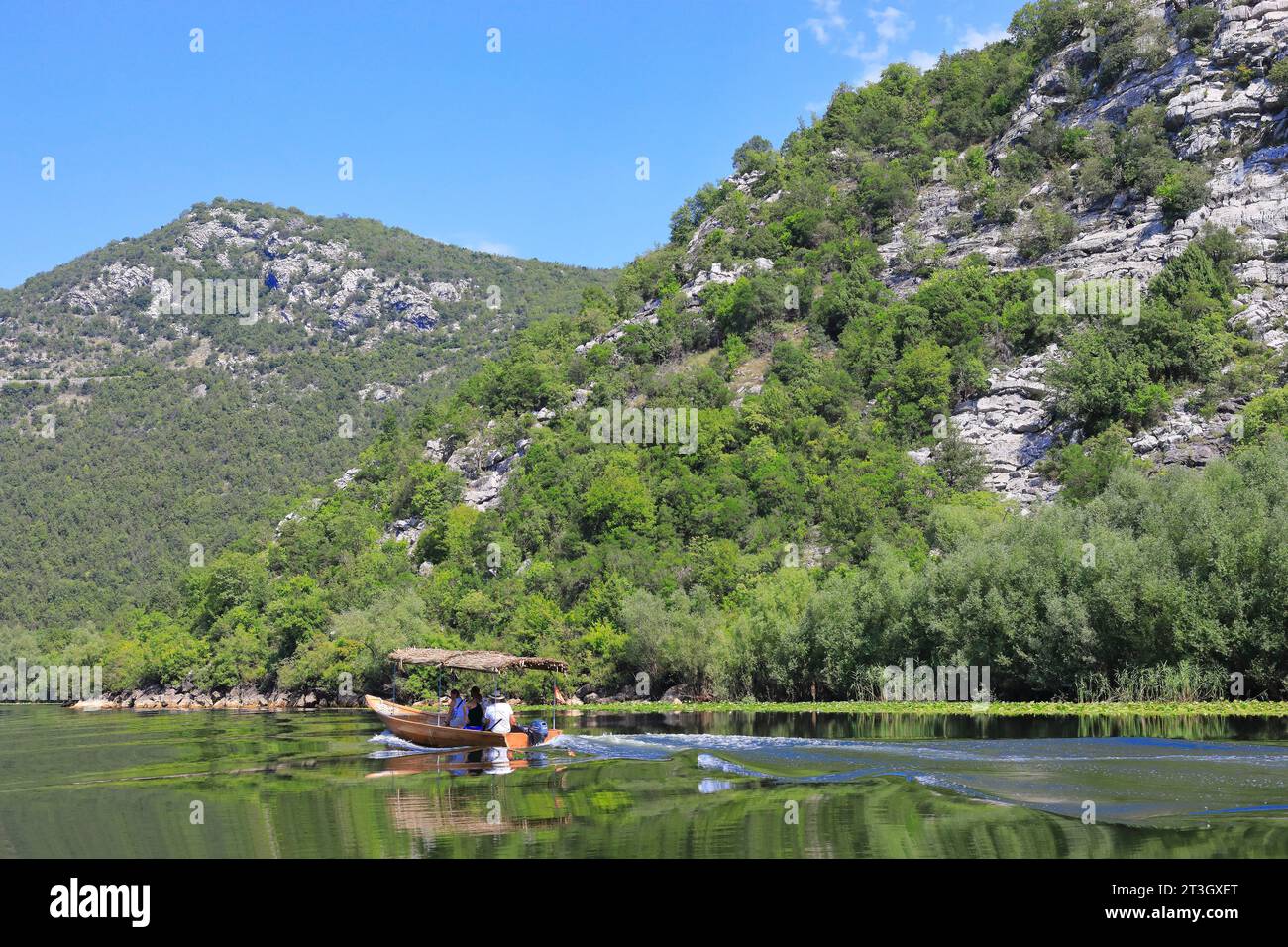 Montenegro, Lago Skadar (Lago Shkodra), Parco Nazionale di Skadar, gita in barca Foto Stock