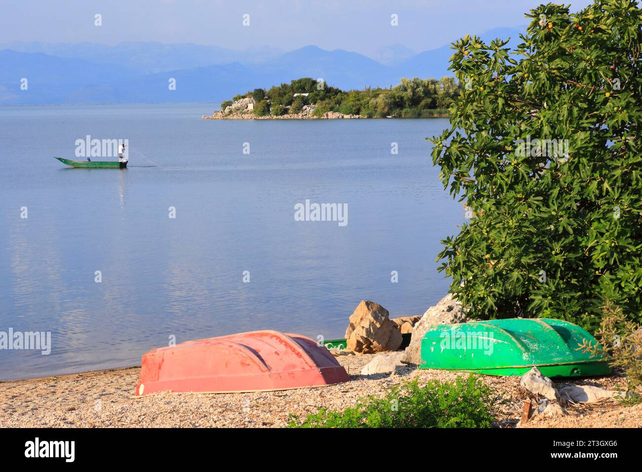 Montenegro, Lago Skadar (Lago Shkodra), Parco Nazionale di Skadar, Donji Murici, Spiaggia di Murici, barca per pescatori Foto Stock