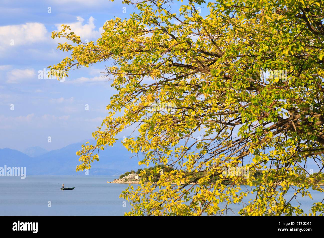 Montenegro, Lago Skadar (Lago Shkodra), Parco Nazionale di Skadar, Donji Murici, Spiaggia di Murici, barca per pescatori Foto Stock