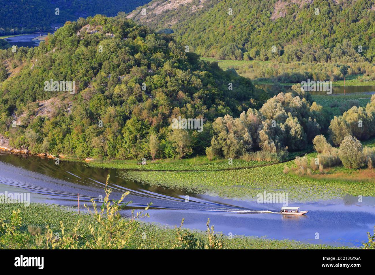 Montenegro, Lago Skadar (Lago Shkodra), Parco Nazionale di Skadar, fiume Crnojevica, barca sui meandri del fiume Crnojevica Foto Stock