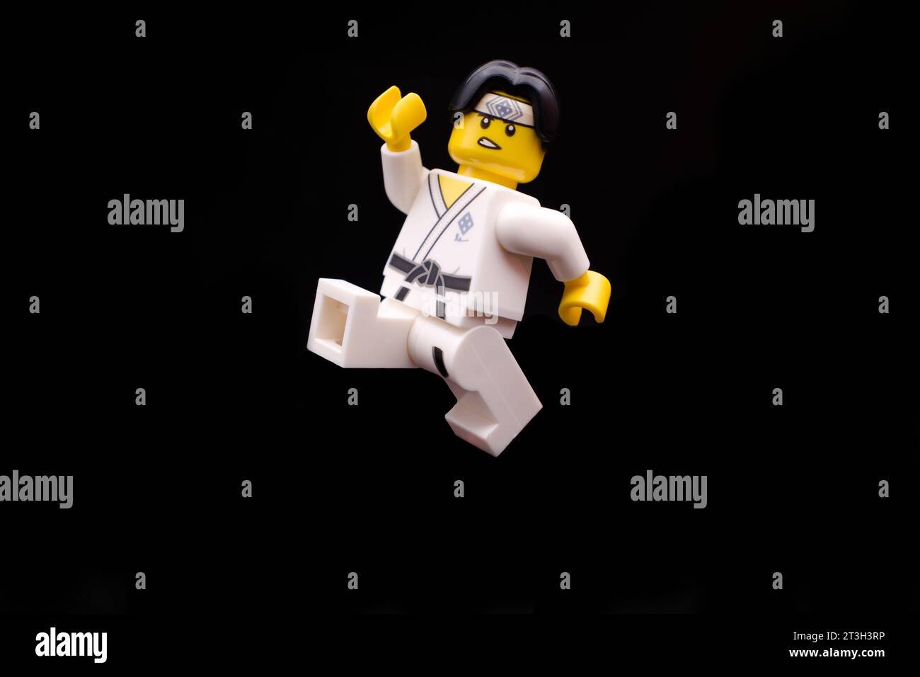 Maestro di arti marziali. Foto Stock