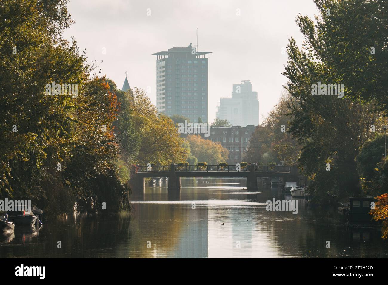 Gli alberi fiancheggiano un canale di Amsterdam in una mattina d'autunno Foto Stock