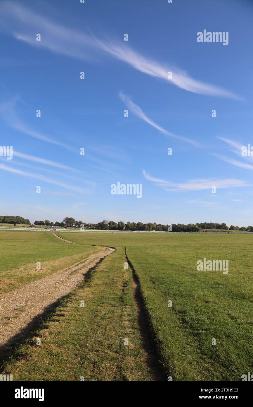 Cirrus Clouds High Altitude Clouds sopra la pista nell'ippodromo Grass Epsom Downs nel Surrey, Inghilterra Foto Stock