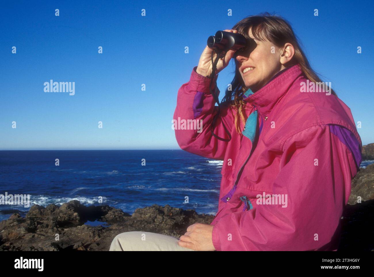 Avvistamento delle balene sulla costa rocciosa, Mendocino Headlands State Park, California Foto Stock