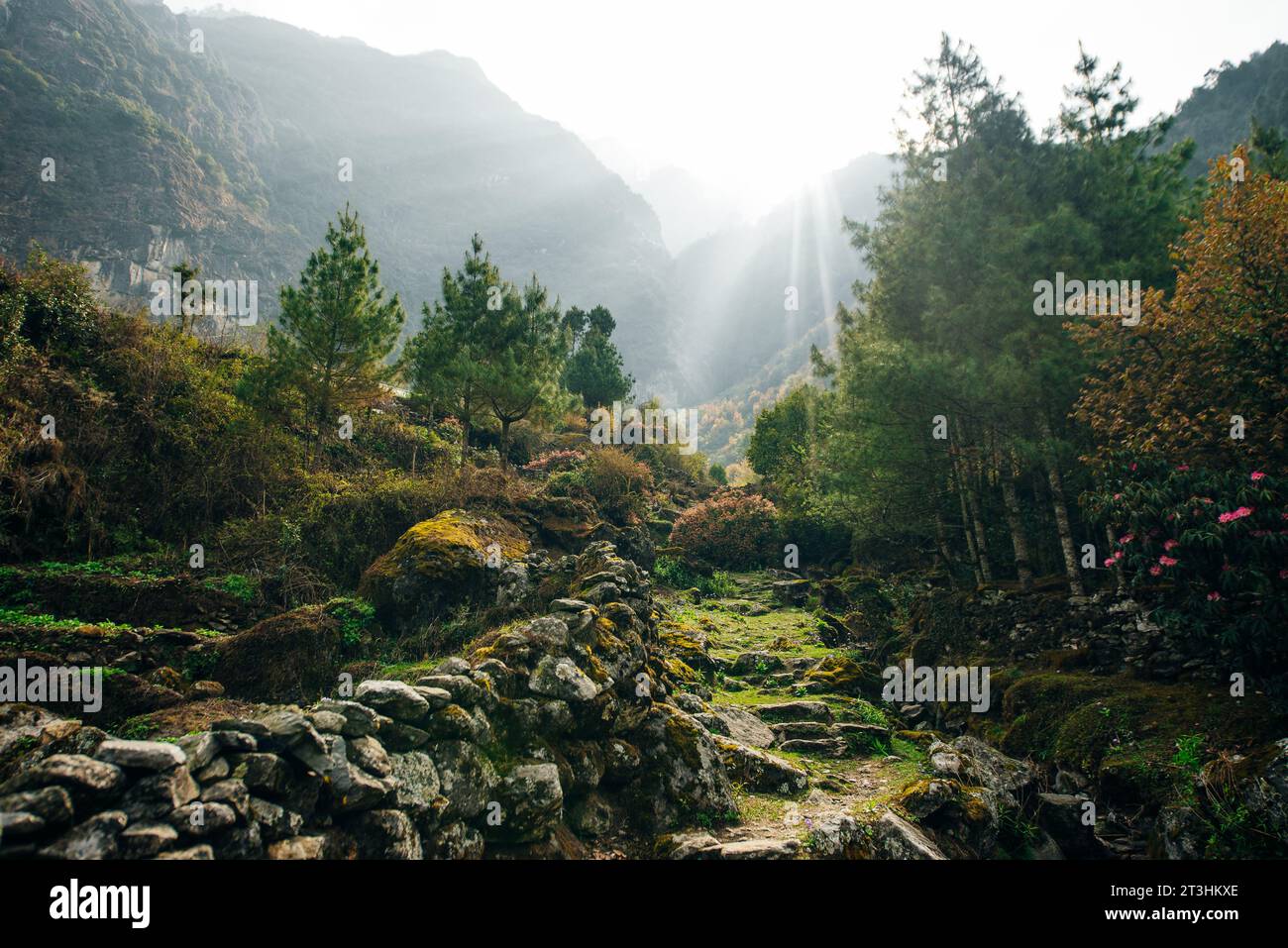 Villaggio nepalese nell'Himalaya. Foto di alta qualità Foto Stock