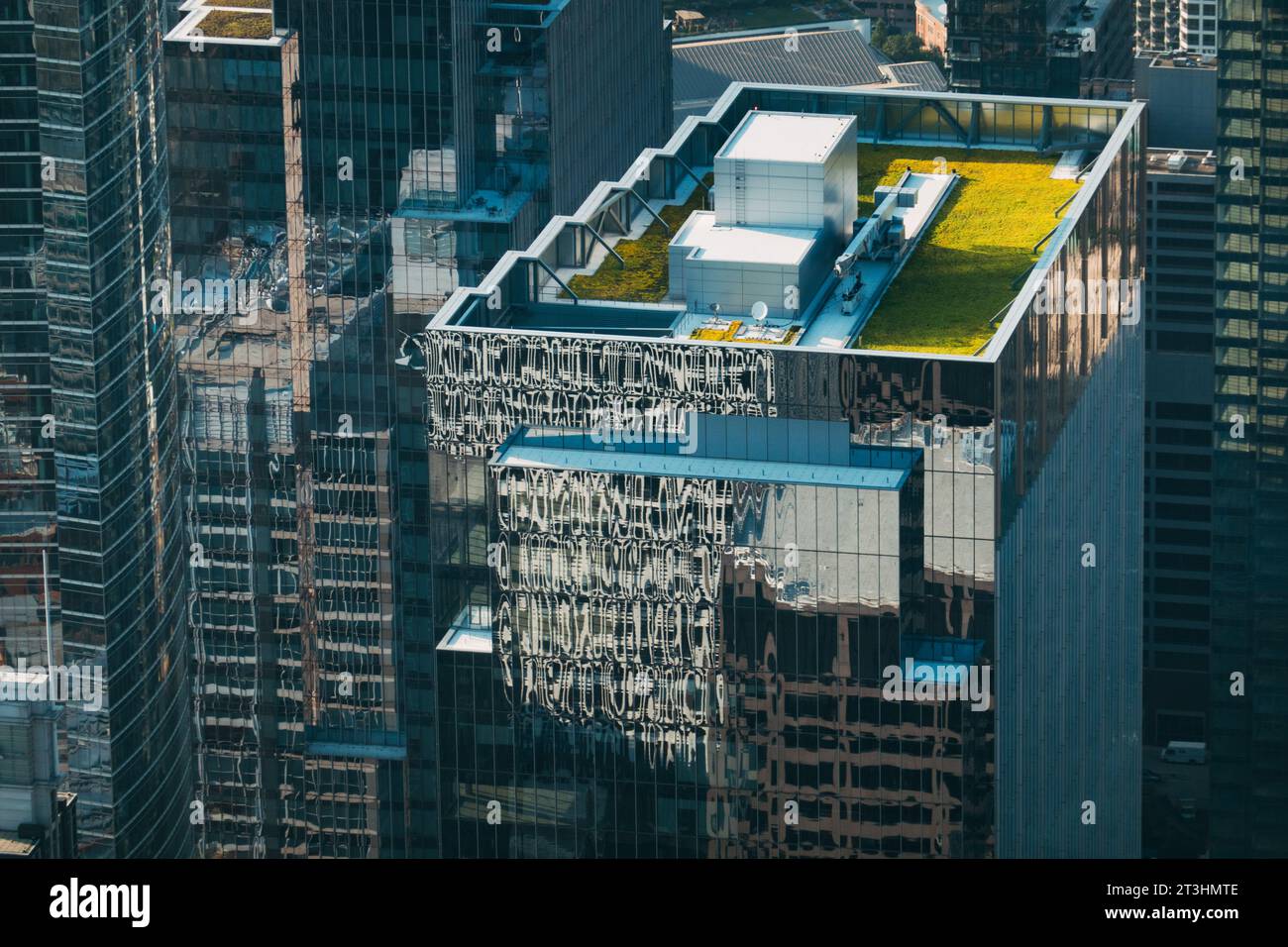 La Bank of America Tower si distingue dai suoi dintorni con un tetto eco-verde e vetro riflettente. Chicago, Stati Uniti Foto Stock