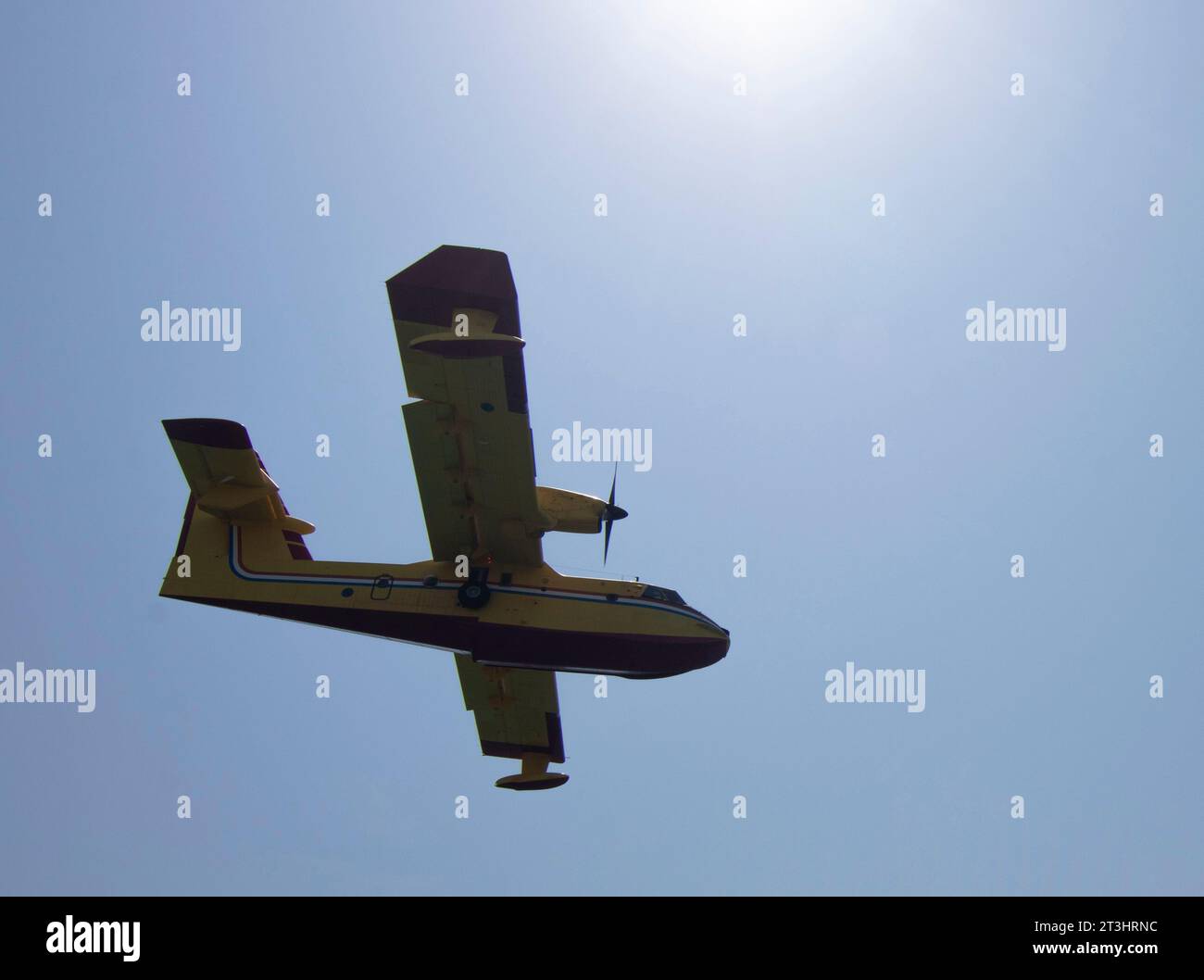 I vigili del fuoco volano sul cielo soleggiato Foto Stock