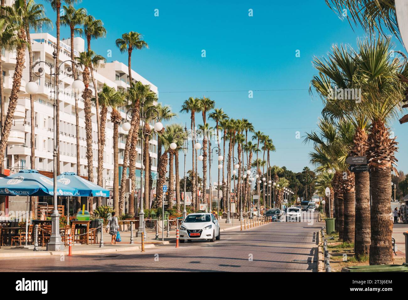 Strade costeggiate da palme a Finikoudes Beach, Larnaca, Cipro Foto Stock