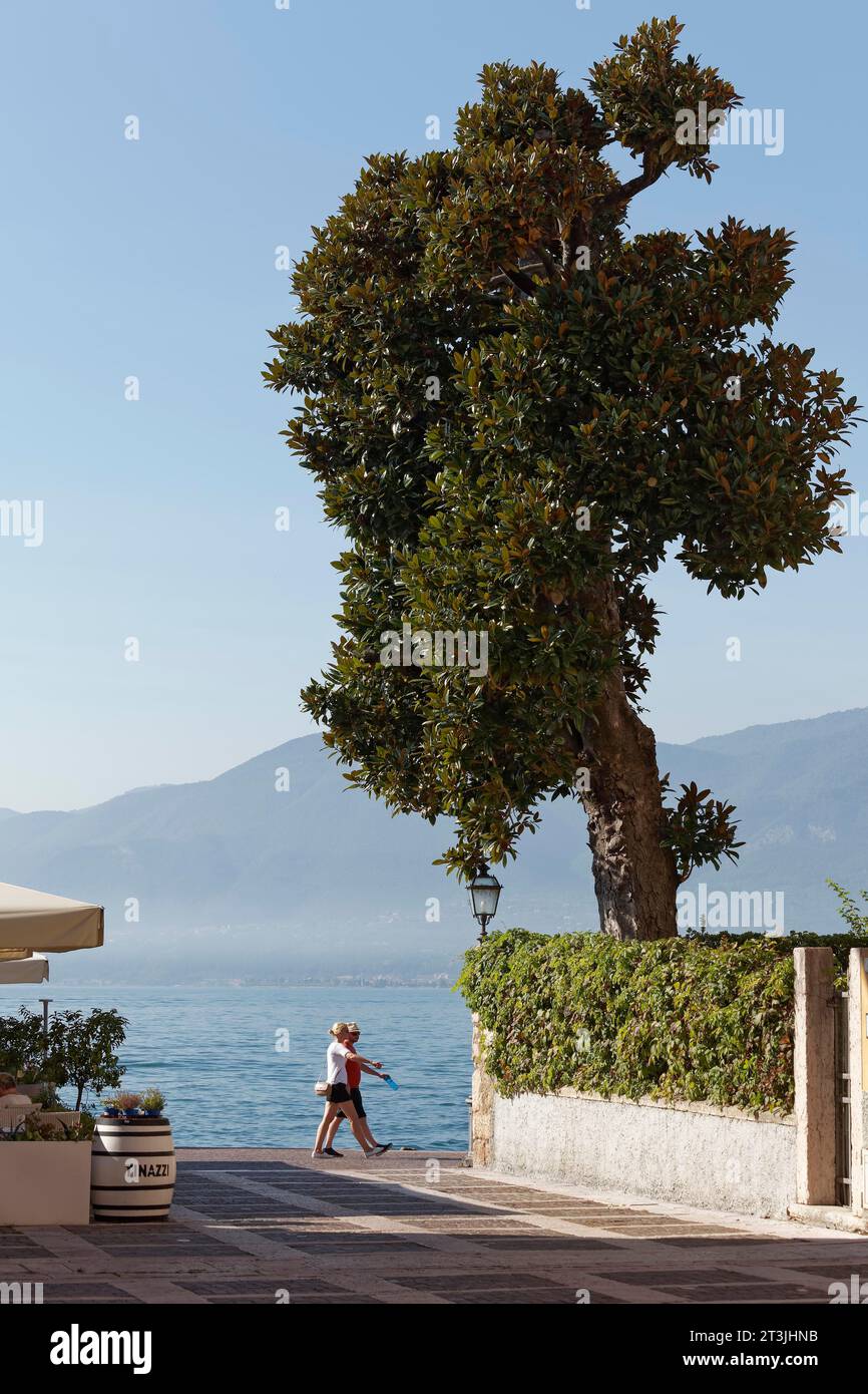 Coppia che cammina sul lungolago, con vista sul lago e sull'albero di magnolia, Torri del Benaco, la sponda orientale del Lago di Garda, provincia di Verona, Italia Foto Stock
