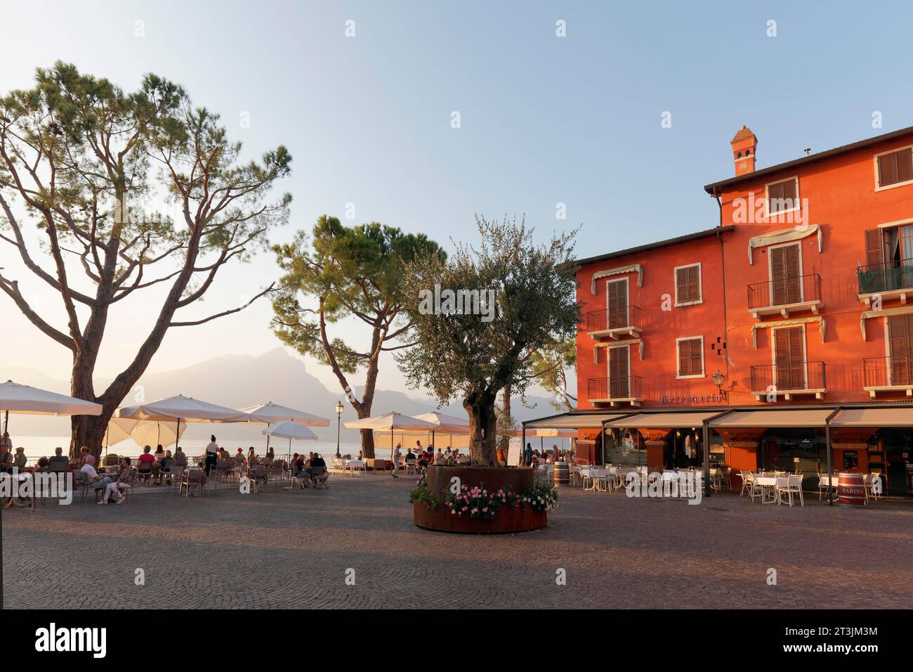 Piazza con ulivo, passeggiata lungolago e ristorante Berengario, sole serale, centro storico, Torri del Benaco, sponda orientale del Lago di Garda, provincia Foto Stock