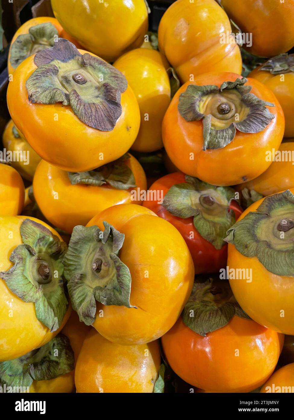 Una pila colorata di cachi freschi e maturi in splendide tonalità di giallo, arancione e rosso. Foto Stock