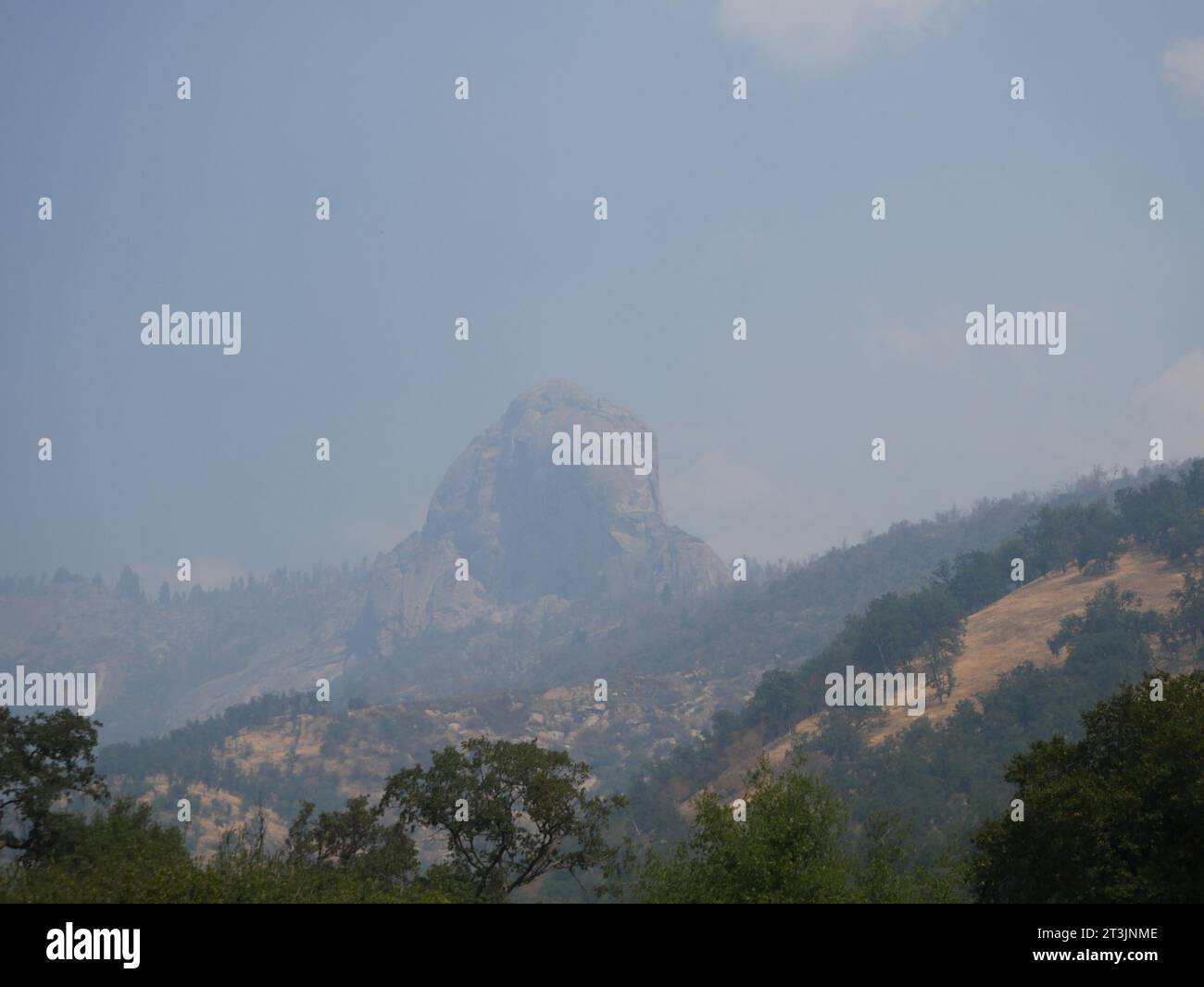 Parco Nazionale di Sequoia Foto Stock