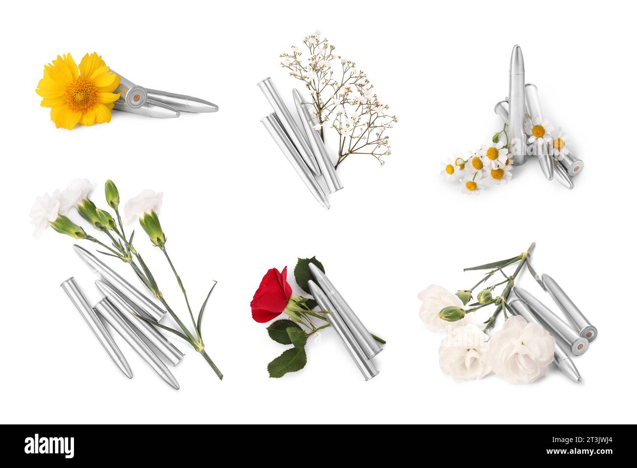 Set di proiettili e bellissimi fiori isolati su bianco Foto Stock