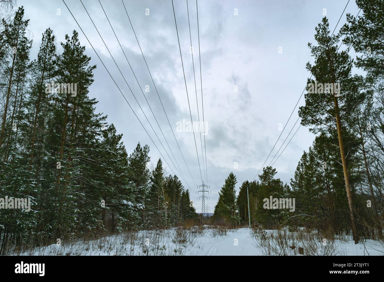 Linee elettriche nel mezzo della foresta invernale Foto Stock