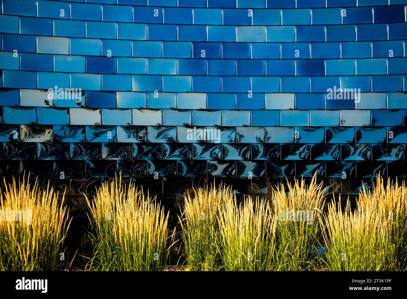 Visual Arts Center, Boise State University, Boise, Idaho (2019) Northern Wall Foto Stock