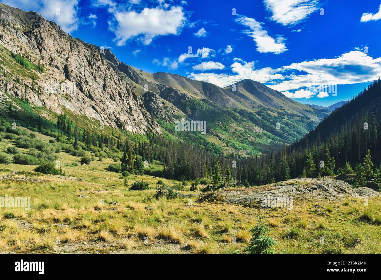 Colorado Rocky Mountain Valley al mattino Foto Stock