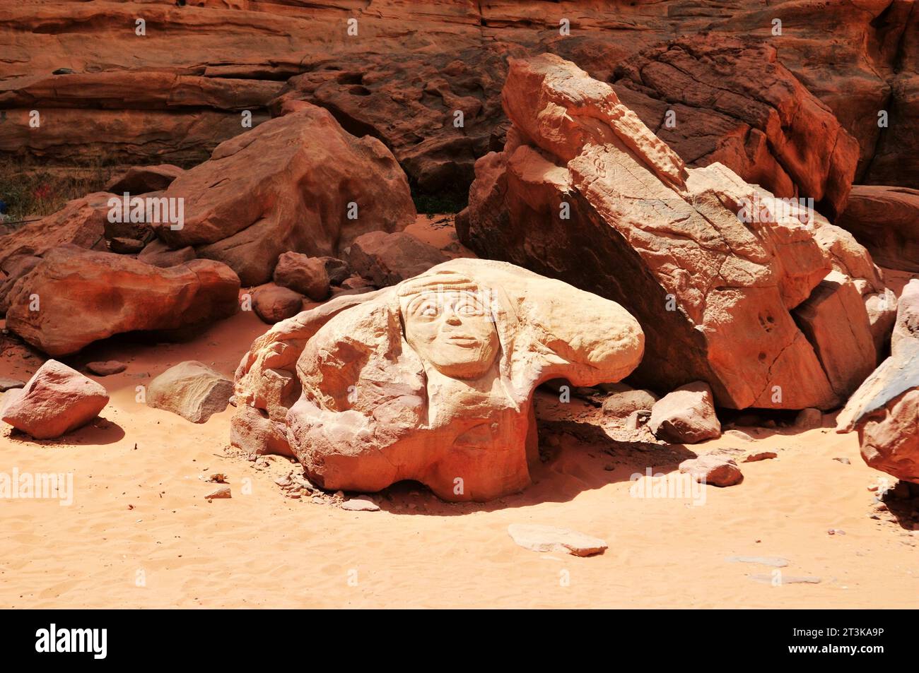Antiche incisioni sulle rocce nel deserto del Wadi Rum Giordano. Foto Stock