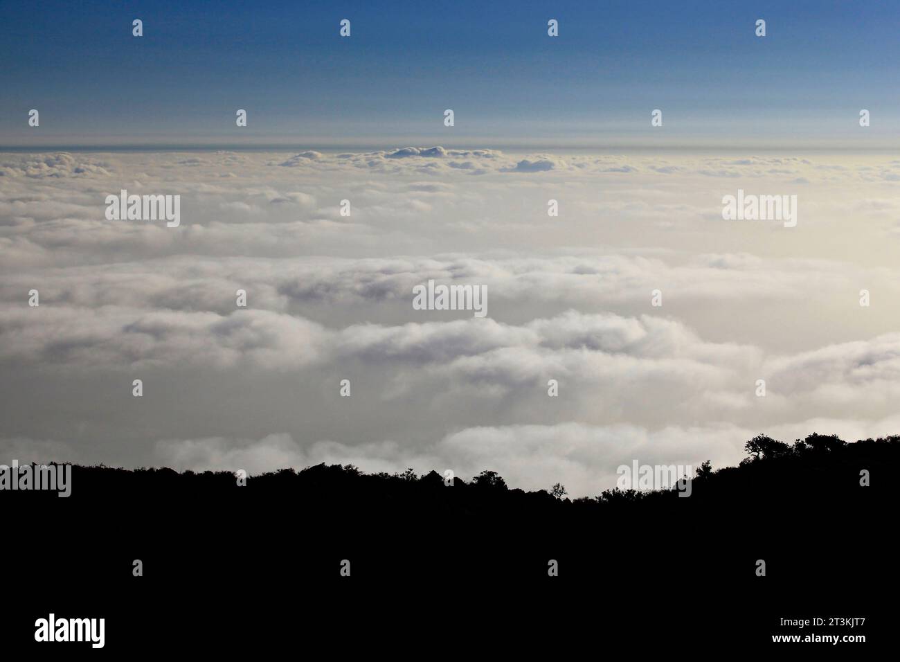 Paesaggio mattutino e una rinfrescante nebbia al monte Khao Kho a Phetchabun, Thailandia Foto Stock